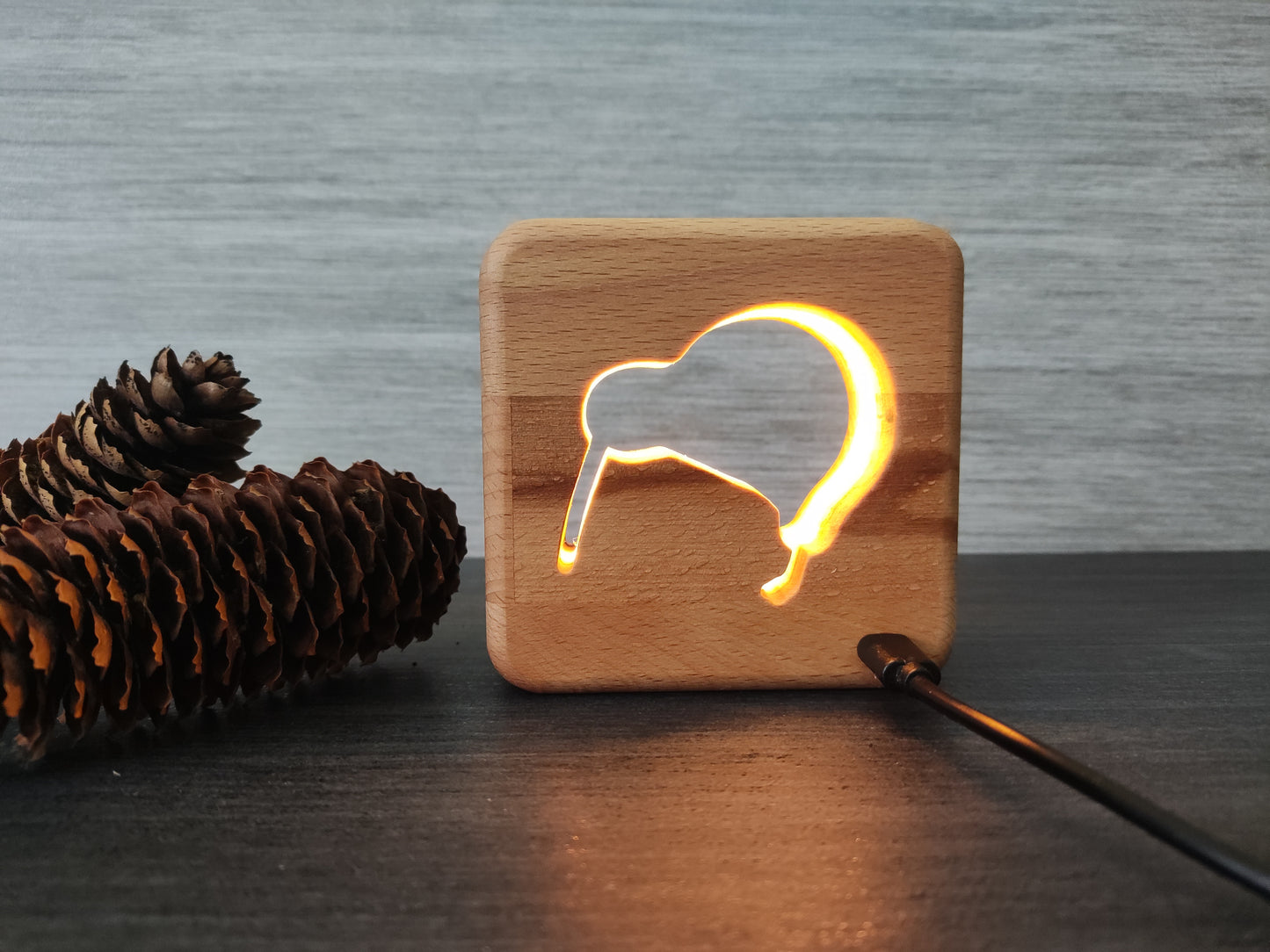 Kiwi Neuseeland LHolz LED Nachtlicht / Dekoration