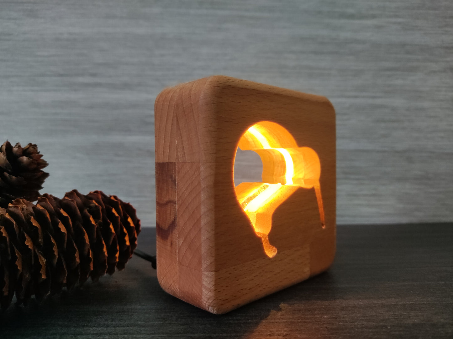 Kiwi Neuseeland LHolz LED Nachtlicht / Dekoration
