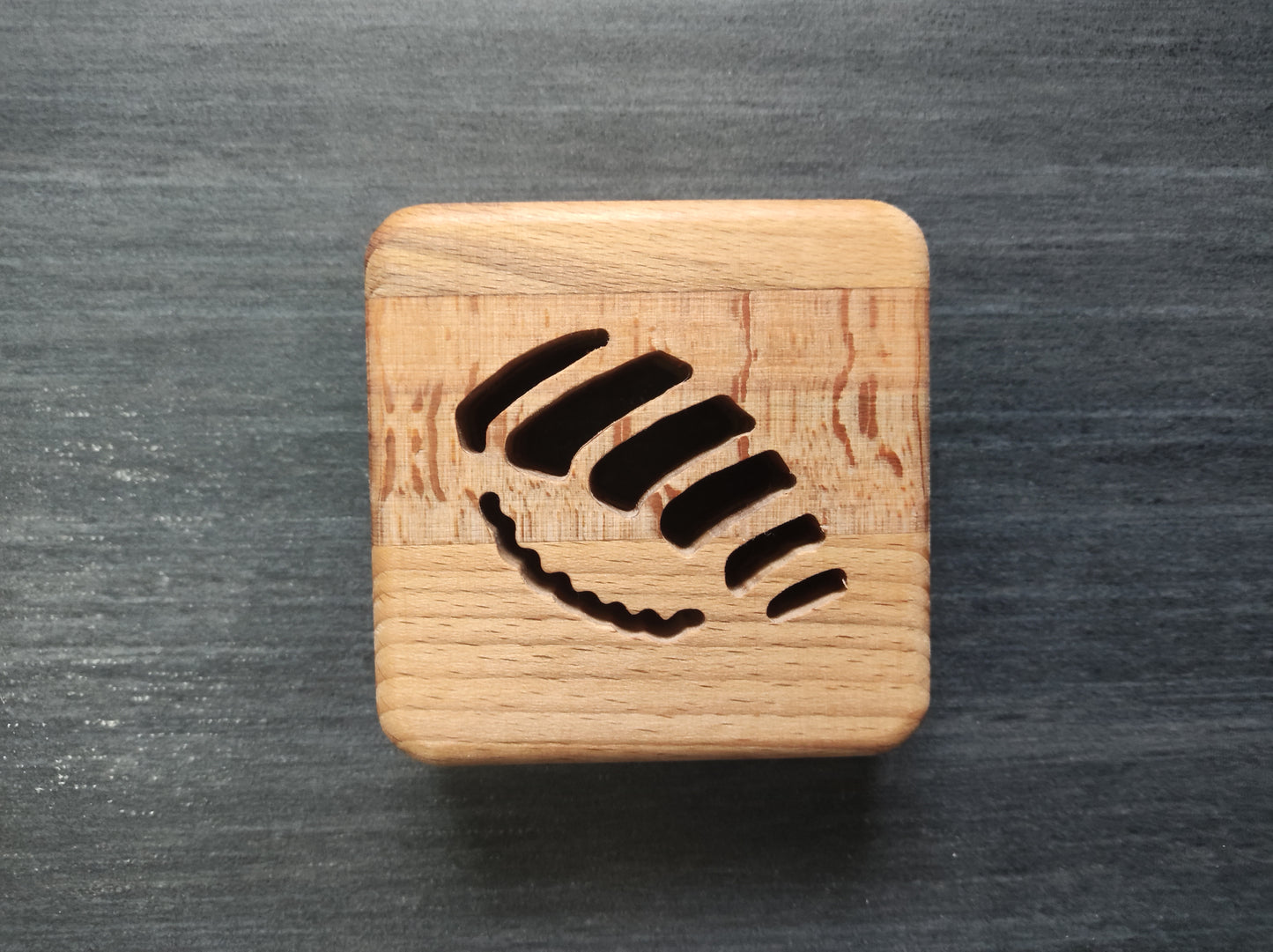Japanisches Sushi Holz LED Nachtlicht / Dekoration