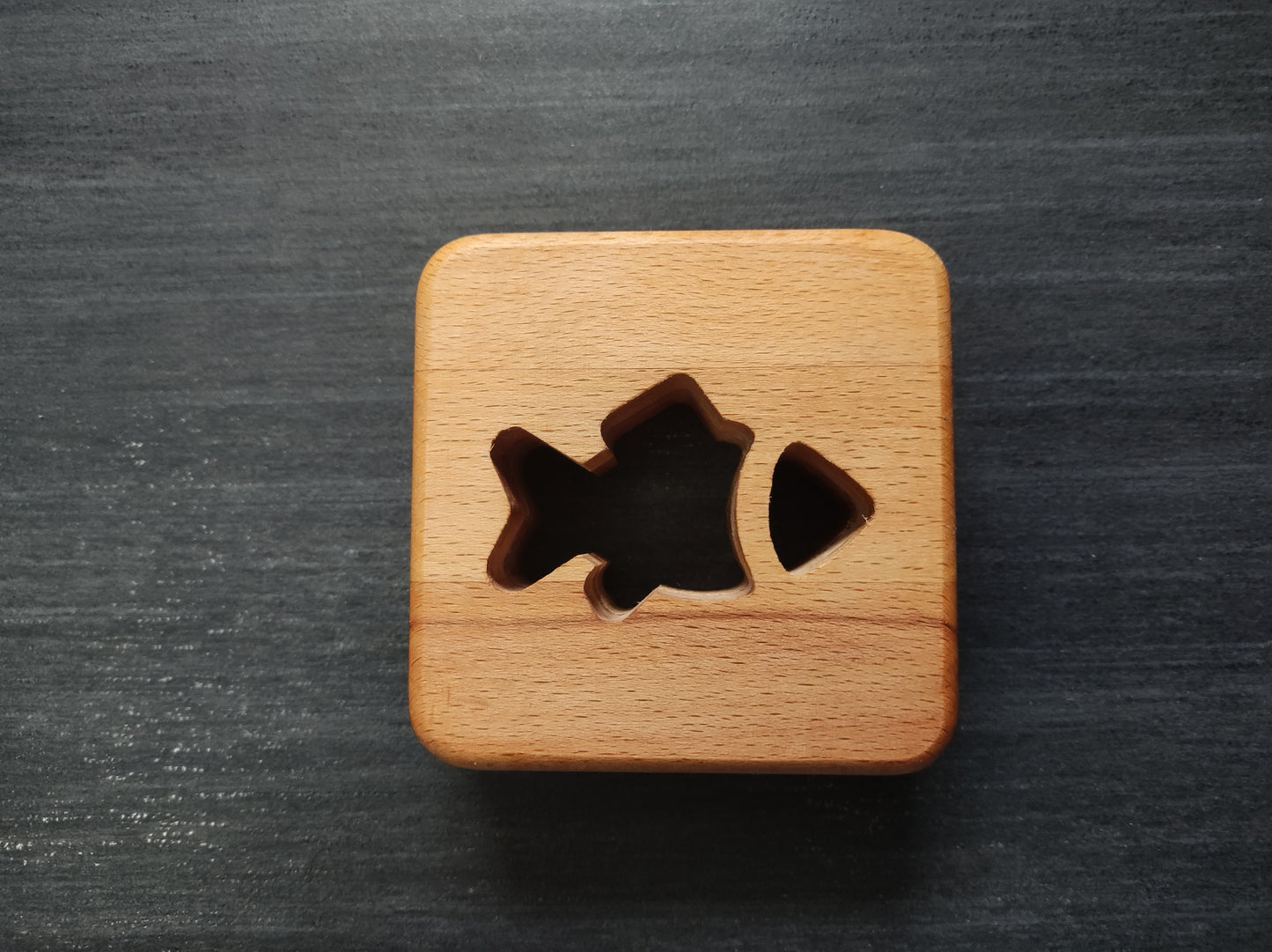 Fisch Holz LED Nachtlicht / Dekoration