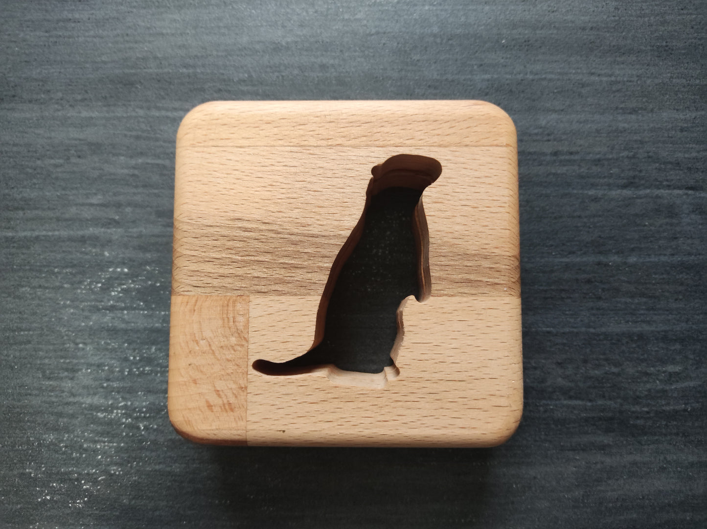 Otter Holz LED Nachtlicht / Dekoration