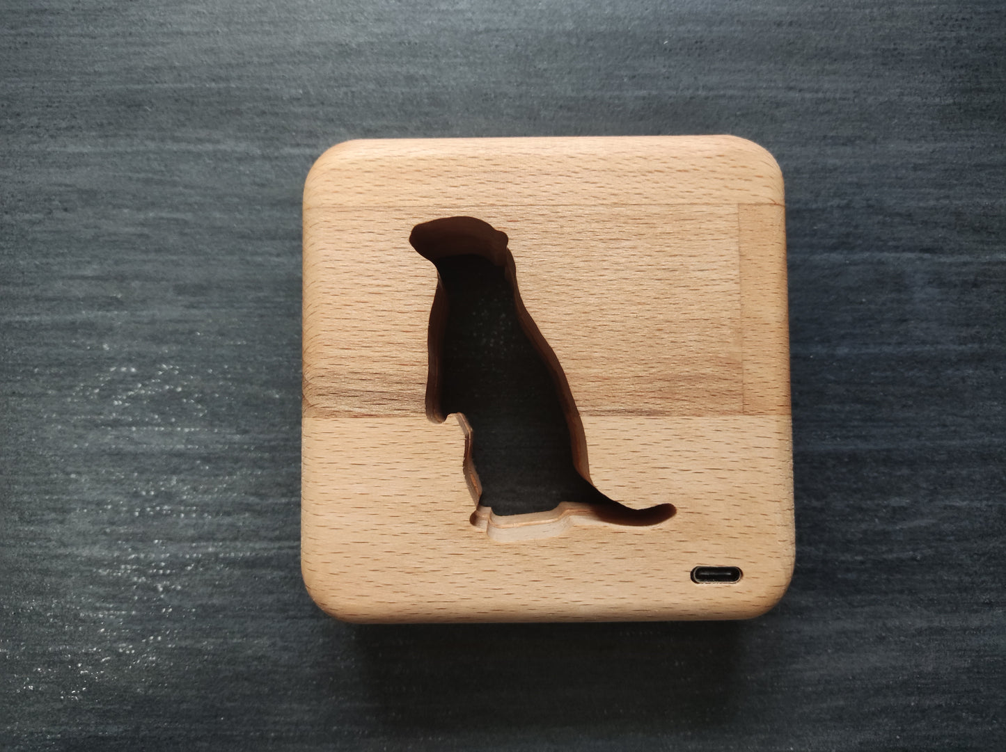 Otter Holz LED Nachtlicht / Dekoration