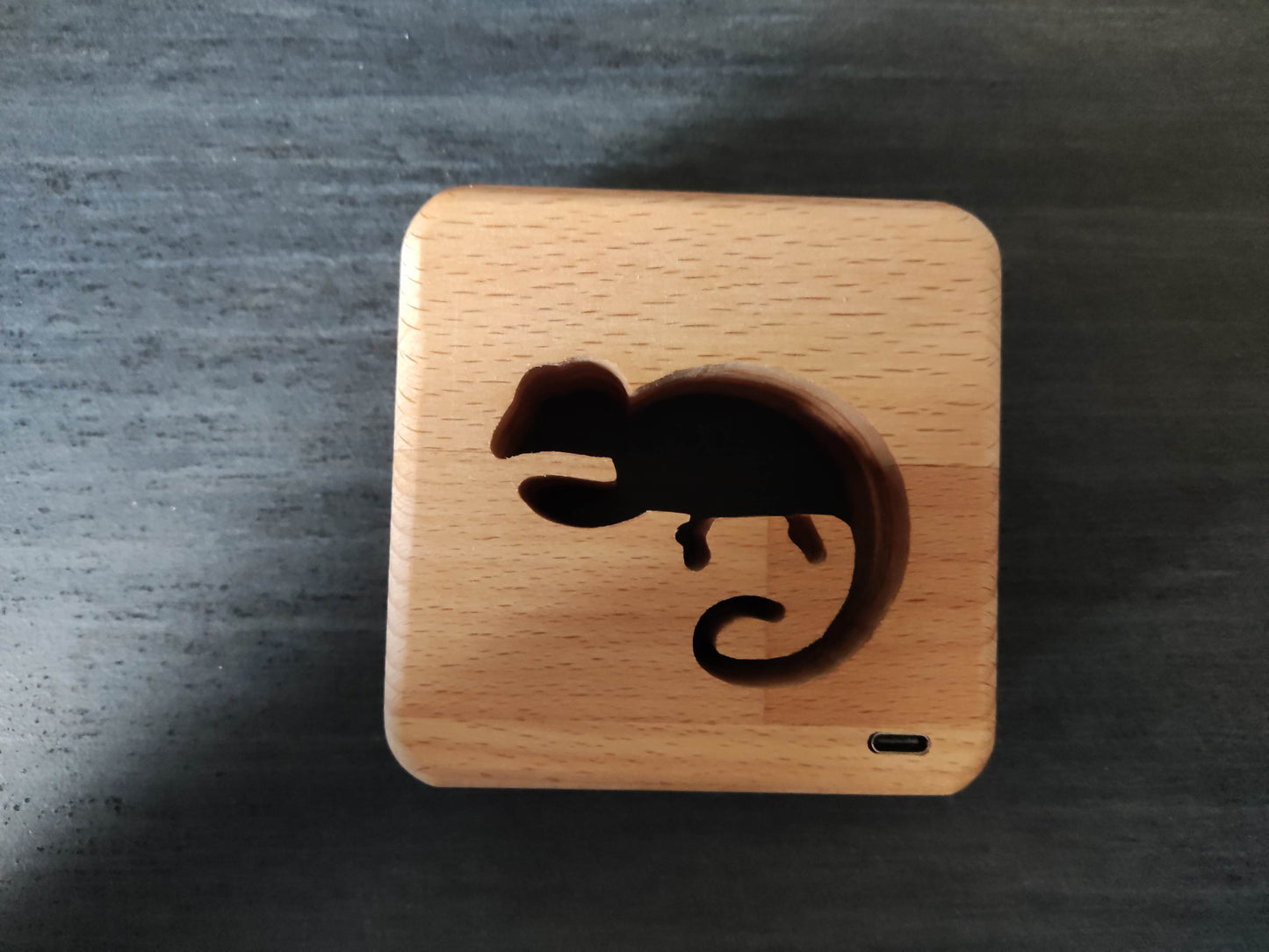 Chameleon Holz LED Nachtlicht / Dekoration