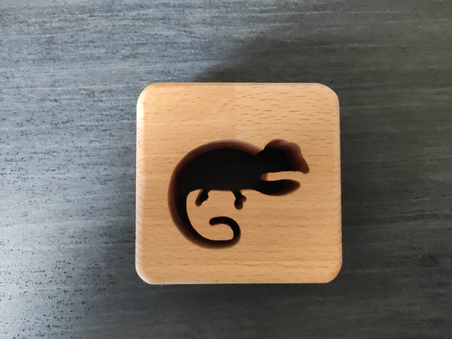 Chameleon Holz LED Nachtlicht / Dekoration