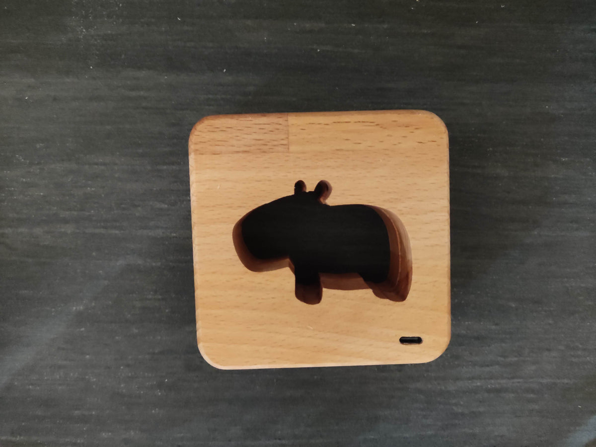 Capybara Wasserschein Holz LED Nachtlicht / Dekoration