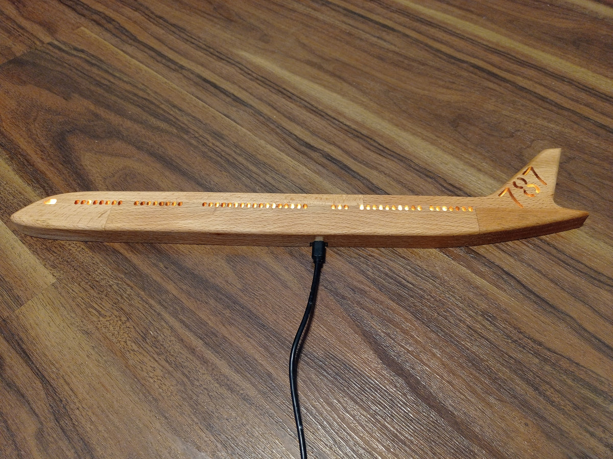 Boeing B787 (1:150) Dreamliner LED Wall Decoration