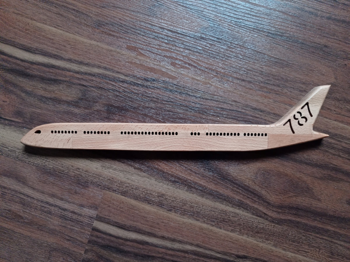 Boeing B787 (1:150) Dreamliner LED Wall Decoration
